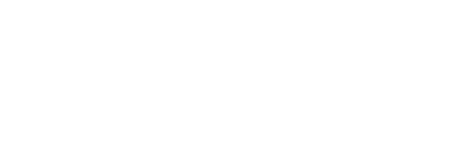 local electrix logo upscaled white